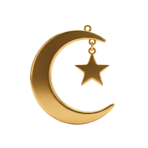 Gold Crescent Moon + Star Charm